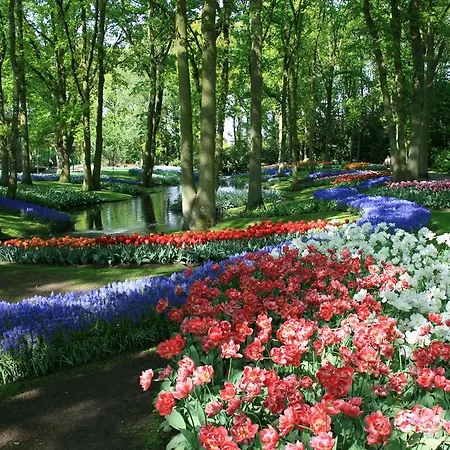Short Stay Group City Park Serviced Apartment Amsterdam Amsterdam